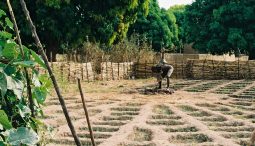 Conférence de Marrakech sur le climat : Les pays du Sud doivent être au cœur de l’application de l’Accord de Paris