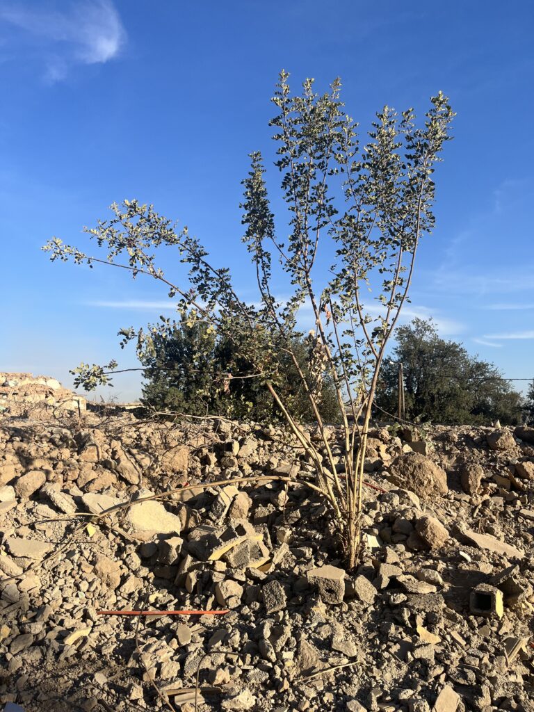 Rentrée Solidaire Maroc